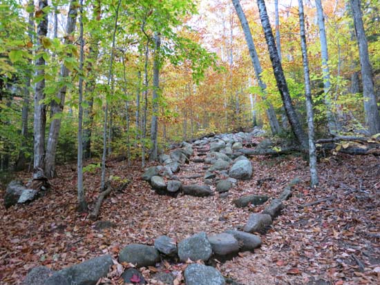 The Welch Dickey Loop Trail on the way Welch Mountain