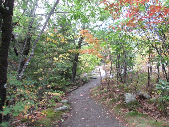 Hints of fall on the way to Welch Mountain