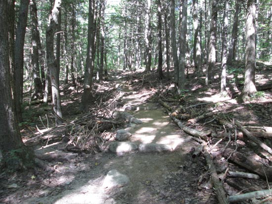 Ascending Welch Mountain