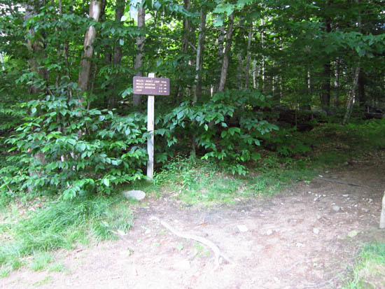 The Welch-Dickey Loop Trail trailhead