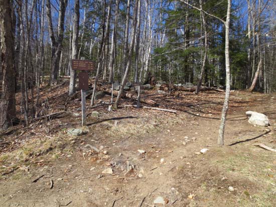 The Welch-Dickey Loop Trail trailhead
