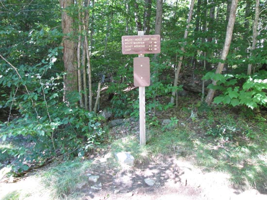 The Welch-Dickey Loop Trail trailhead