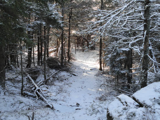 The Crawford-Ridgepole Trail on the way to West Doublehead Mountain
