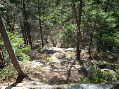 Looking down the Quarry Trail on the west slope of West Quarry Mountain