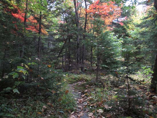 The Quarry Trail on the way to West Quarry