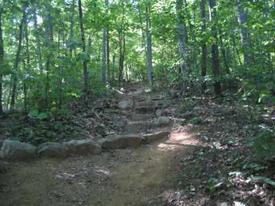 The Pasture Trail to West Rattlesnake