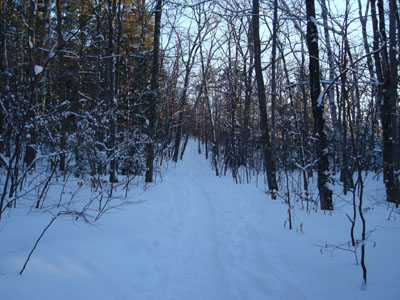 Looking up the Old Bridle Path
