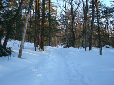 Looking up the Old Bridle Path