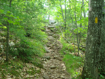 Looking up the Ramsey Trail