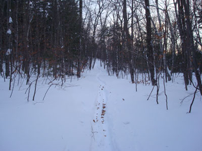 Looking up the Old Bridle Path