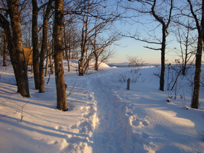 Looking up the Old Bridle Path