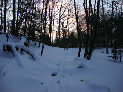 Looking up the Old Bridle Path