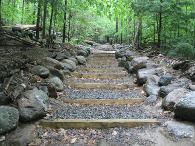 Looking up the Old Bridle Path
