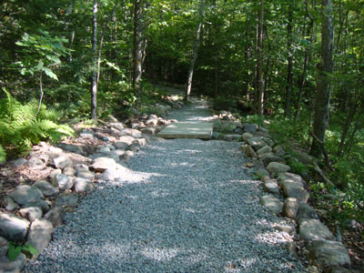 Looking up the Old Bridle Path