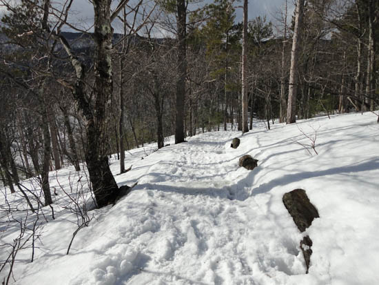 Looking down the Old Bridle Path