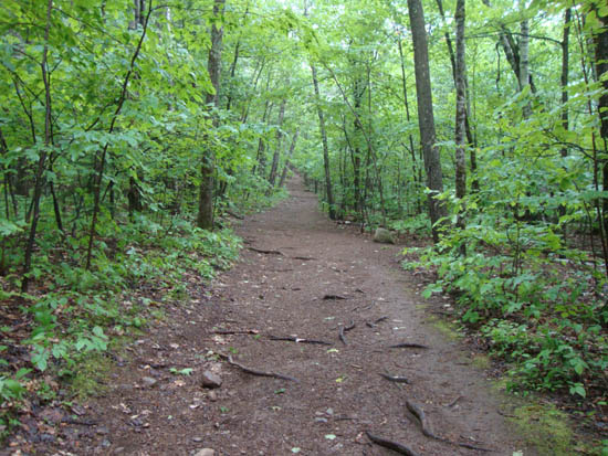Looking up the Old Bridle Path