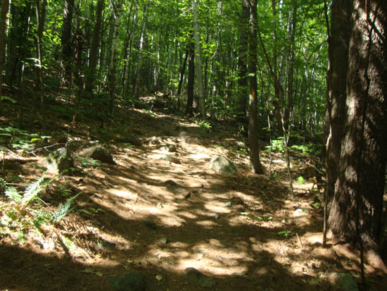 Looking down the Pasture Trail