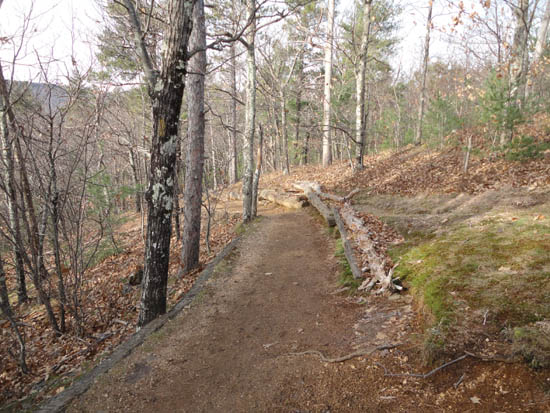 Looking down the Old Bridle Path