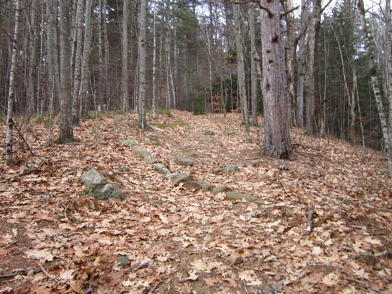 Looking up the Pasture Trail