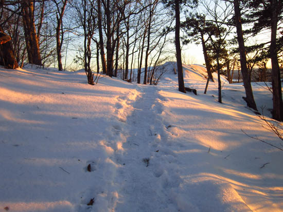 Looking up the Old Bridle Path