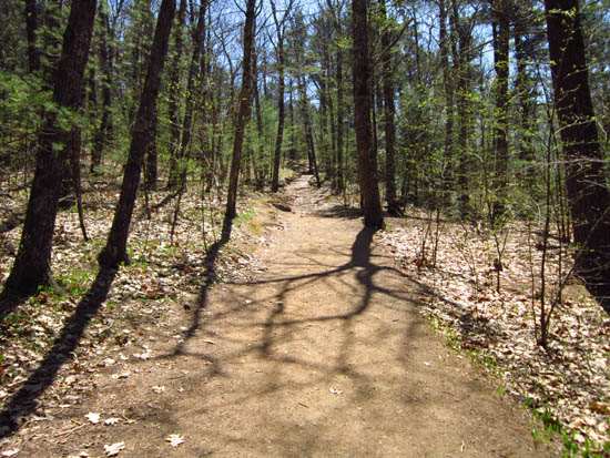 Looking up the Old Bridle Path
