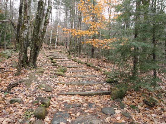 Looking up the Old Bridle Path