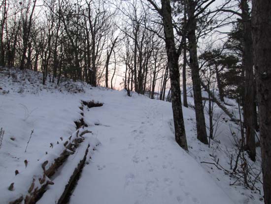 Looking up the Old Bridle Path