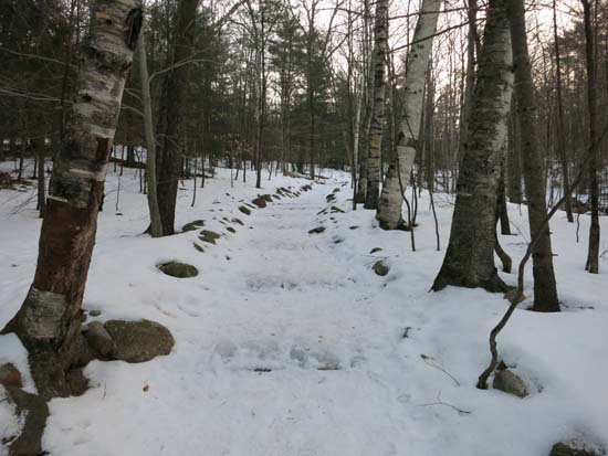 Looking up the Old Bridle Path