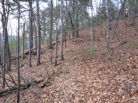 Heading to West Rattlesnake