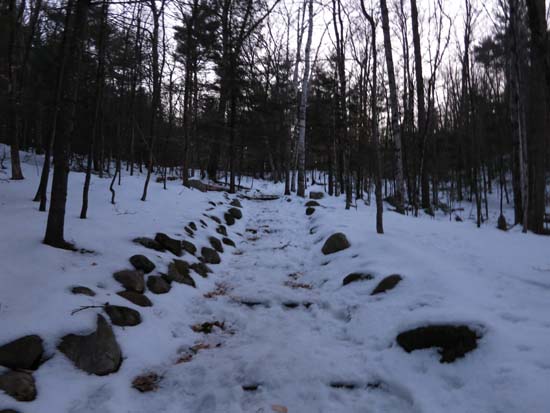 Looking up the Old Bridle Path