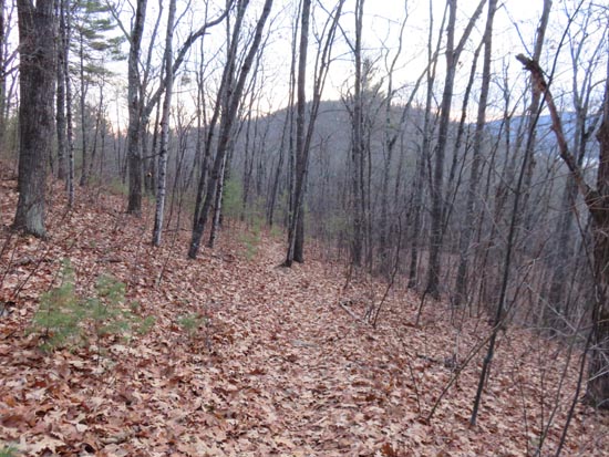 Looking back at East Rattlesnake on the way to West Rattlesnake