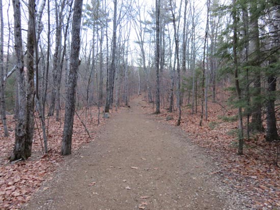 Looking down the Old Bridle Path
