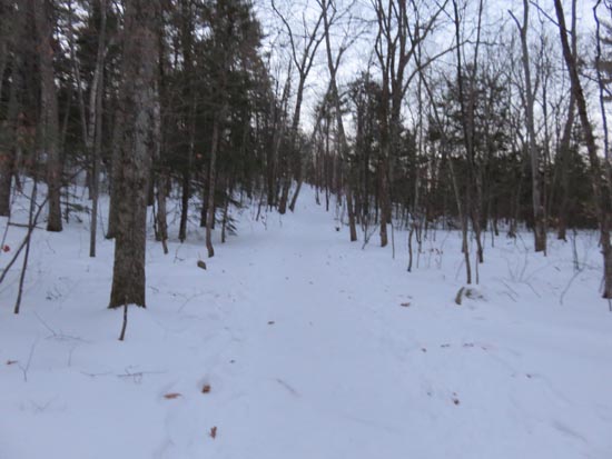 The Old Bridle Path