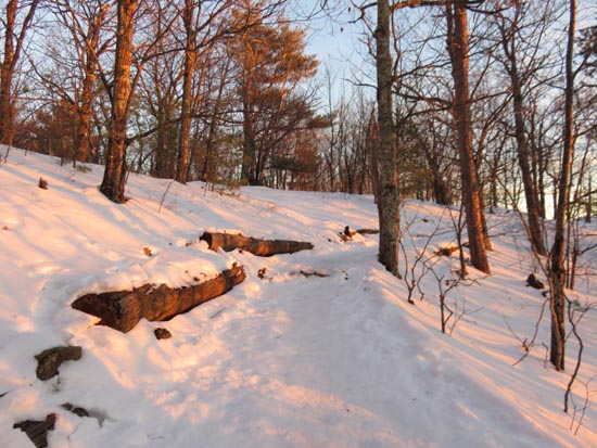 The Old Bridle Path