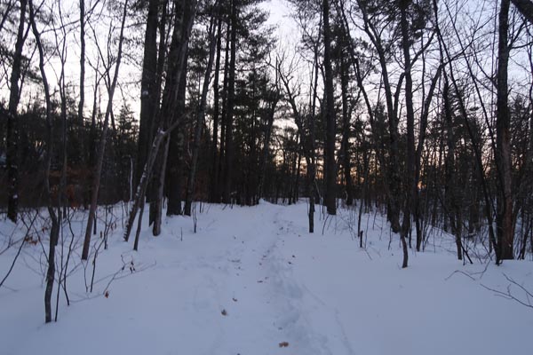 The Old Bridle Path