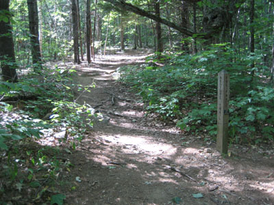 The Pasture Trail trailhead