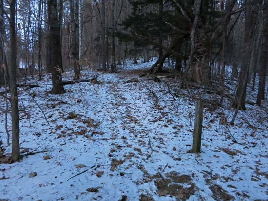 West Rattlesnake - New Hampshire - January 3, 2015 Hike Trip Report