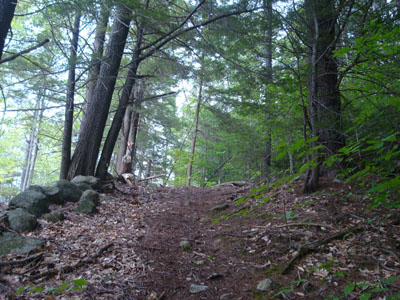 The trail to Whiteface Mountain