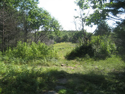 The Whiteface Trail