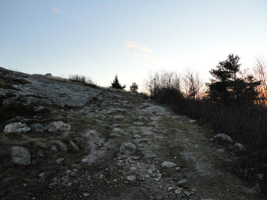 Looking up the Whiteface Trail