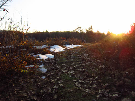 Looking up the Whiteface Trail