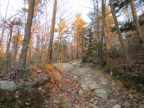 Looking up the jeep road