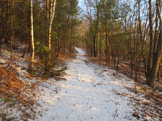 Late afternoon light on the Piper Whiteface Trail