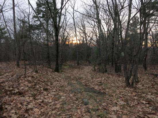 The Whiteface Trail