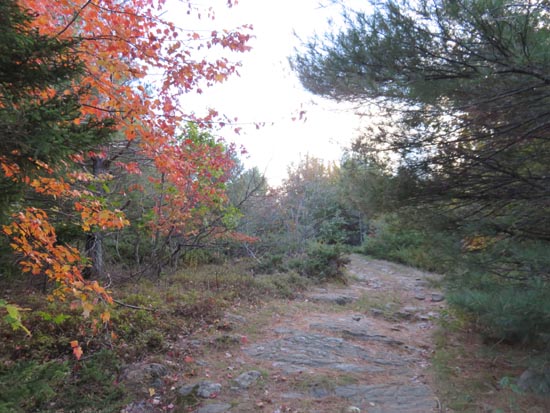 The Whiteface Mountain Trail