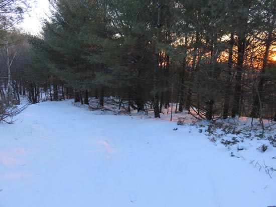 The Whiteface Mountain Trail