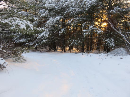 The Whiteface Mountain Trail