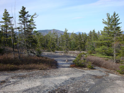 Looking down the northern branch of the White Ledge Trail
