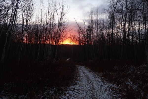 The Main Junction Trail