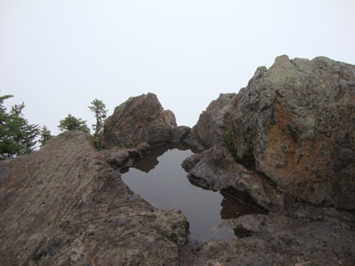 Wildcat A Fog - Click to enlarge